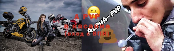ПСИЛОЦИБИНОВЫЕ ГРИБЫ Вязьма