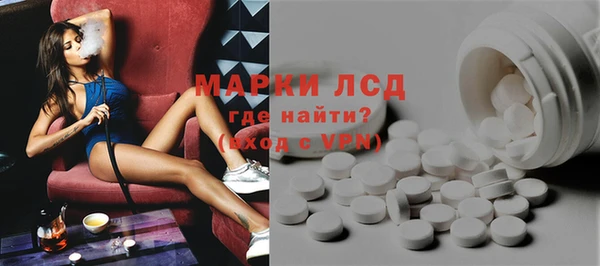 сатива Горнозаводск