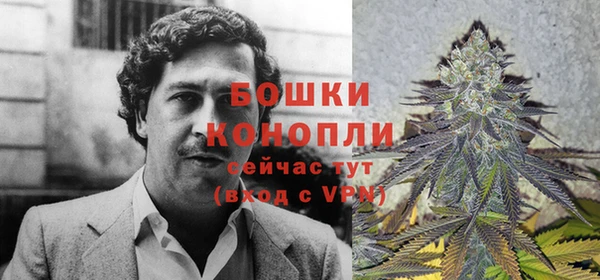сатива Горнозаводск
