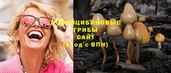 мет Горняк
