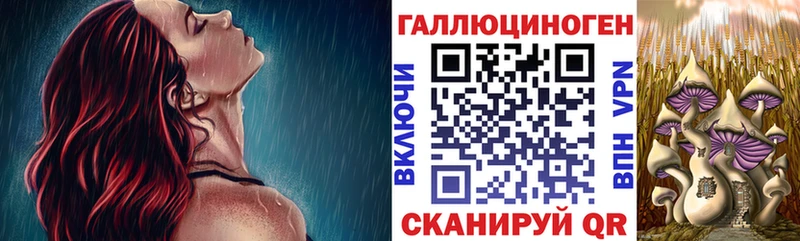 Купить  Ступино  Псилоцибиновые грибы мицелий 